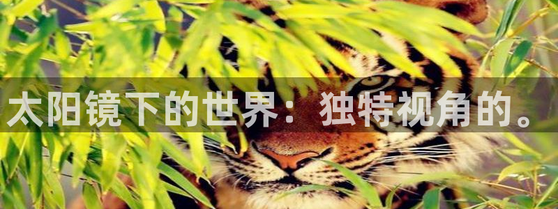 jdb_official_v1.1.4