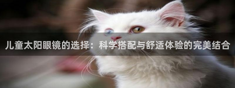 JDB电子夺宝72倍金刚