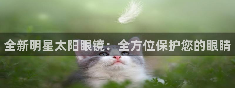 jdb电子游戏模拟器