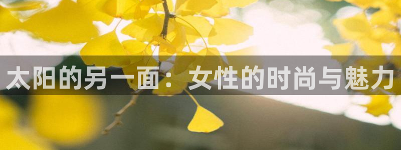 jdb游戏爆分时间段 英文网