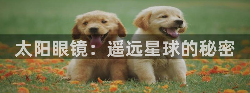 jdb电子平台能提现吗是真的吗安全吗