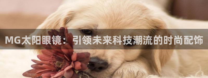 下载jdb