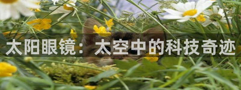 jdb游戏模拟
