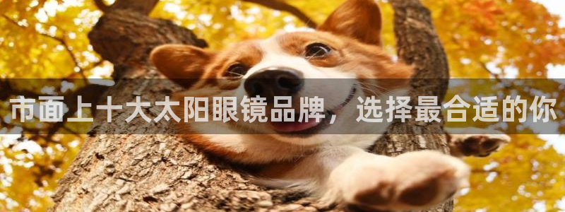 JDB电子官方