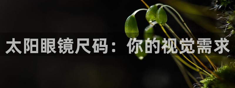 jdb电子金鸡报喜