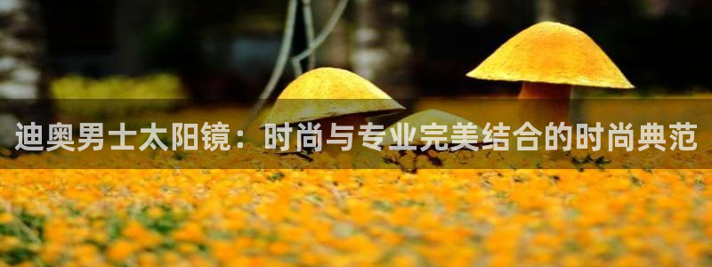 JDB平台下载