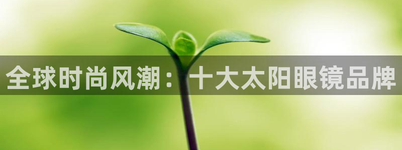 jdb电子哪里可以试玩
