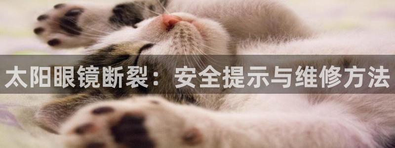 jdb电子贴吧