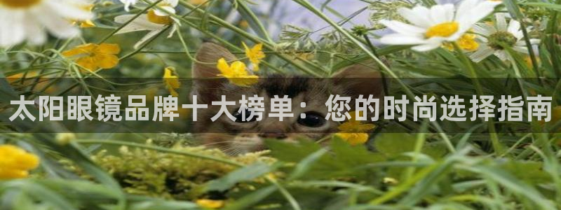 jdb电子稳赢技巧