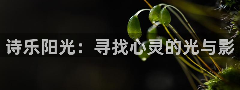 jdb电子网址大全