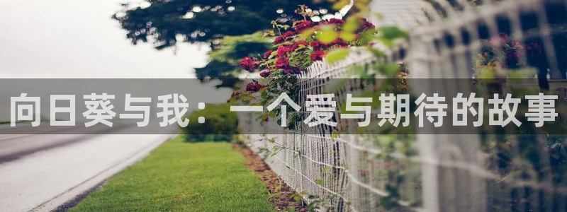 jdb游戏大厅