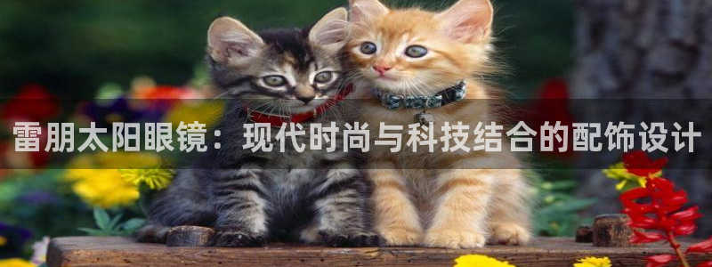 电子游戏平台jdb