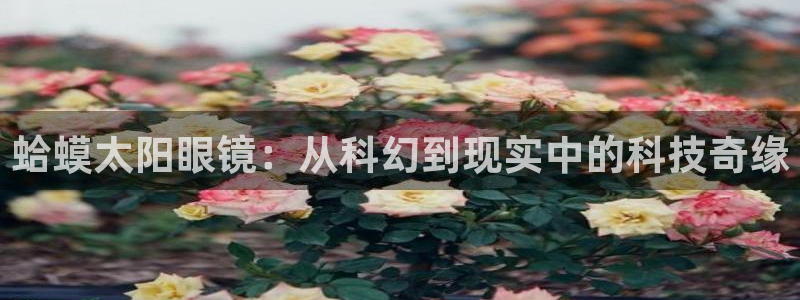jdb试玩网