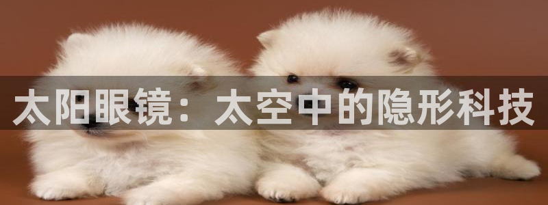 下载jdb