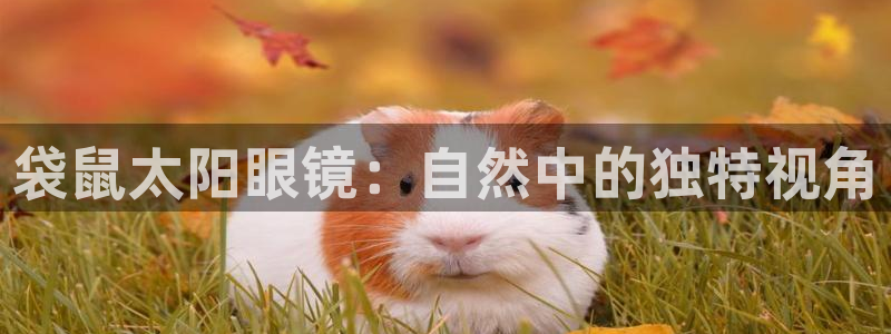 jdb电子变脸2出十个是多少倍