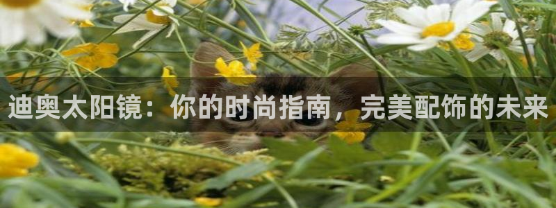 jdb电子平台试玩