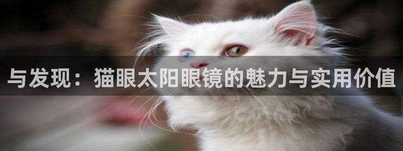 jdb游戏爆分时间段 英文网