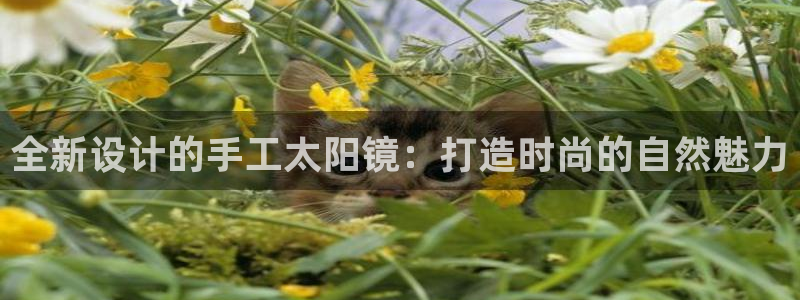 JDB电子游戏平台官网