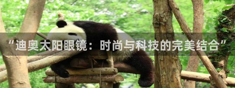 jdb游戏大全图片