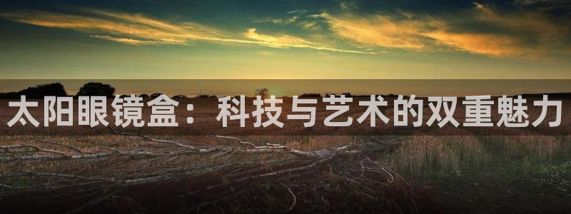 jdb游戏飞鸟排队一般几点最好玩