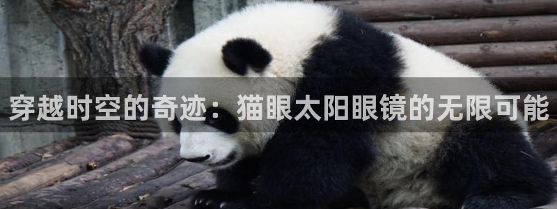 jdb游戏飞鸟排队一般几点最好玩