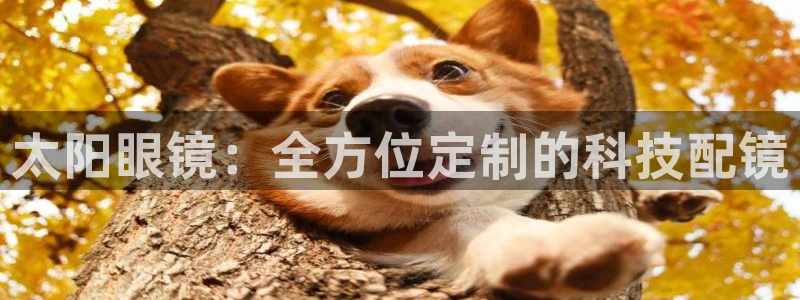 JDB电子中国游戏网站