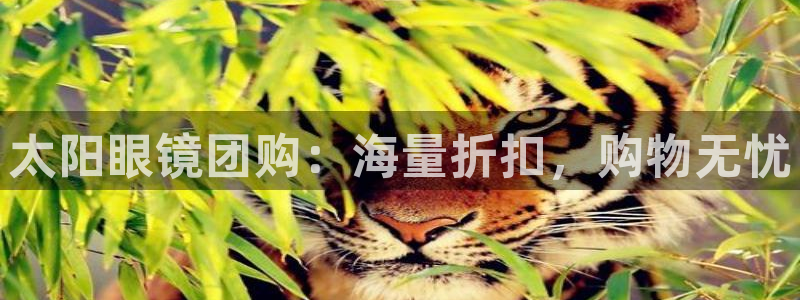 夺宝jdb电子交流